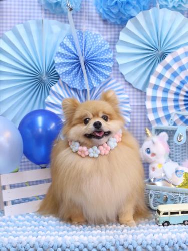 20231103梛都ちゃん